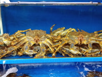 담양상회