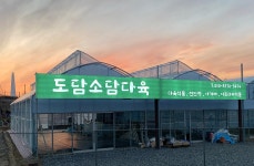 도담소담다육