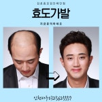 김호증모가발앤행복헤어샵 | 김호증모가발 도도헤어