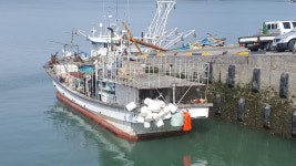 SNS 엔진 전남판매