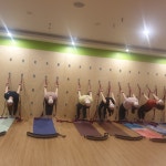 현풍 서민경메디요가&필라테스, 테라피월, 명상