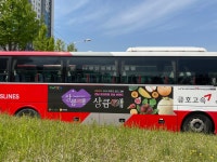 디에스엠