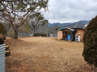 벗
