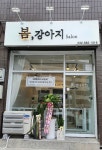 봄강아지salon
