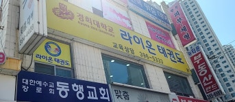 국가대표라이온태권도장