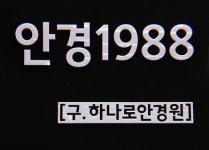 안경1988