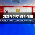 경용태권도