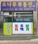 소나무공인중개사사무소