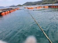 바다산책민박