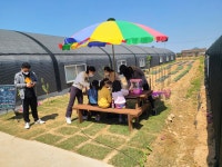 또바기농장 표고버섯 체험