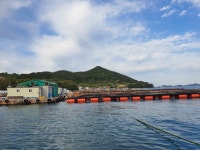 바다산책민박