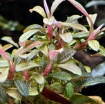 예쁜동물나라수족관 대전점