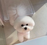 코코넨네펫미용샵