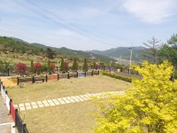 펫노블레스