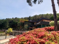 펫노블레스