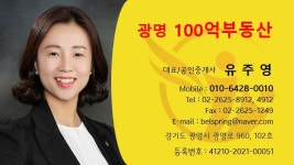 광명100억부동산 공인중개사사무소