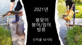 신미골낚시터