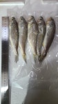 개야도상회