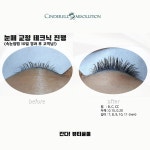 신데렐라아미솔루션 본점