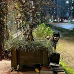 누네띠네 안경원