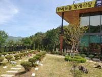 펫 하늘나라