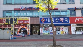 대룡산약국