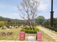 펫노블레스