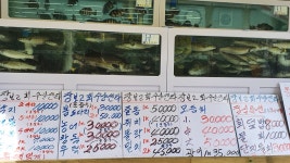 장보고수산센타 부전점