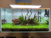 서울 팀아쿠아 수족관