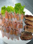 고고다찌 바다장어 한림협재 본점