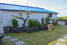 월정리스테이문릿