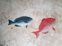 양산석계신신낚시