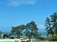 솔내음가득히펜션