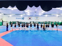 용인대화성태권도