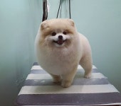 헤어컹컹