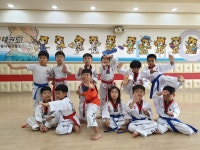 용인대화성태권도