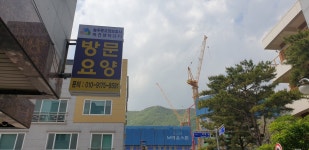 늘푸른요양보호사파견센타