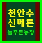 수신메론 늘푸른농장