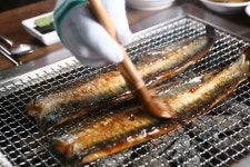 신계동장어