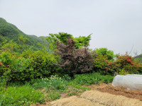 산솔회관