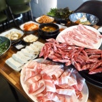 구일대패 부사점