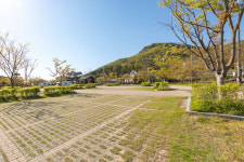 소나무에걸린노을펜션