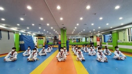용인대백호태권도