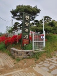 신도조경