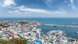 구룡포2021풀빌라