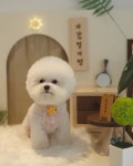 빙그루밍