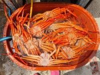 왕돌회수산