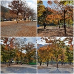 외룡캠핑장