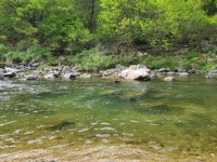 탁사정송어&펜션힐링