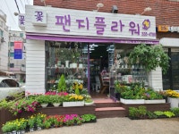 팬지플라워
